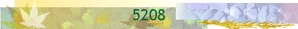 5208